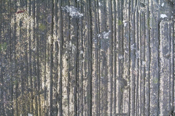 Parede velha e líquen verde — Fotografia de Stock