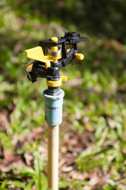 gerçek çim üzerinde serpin