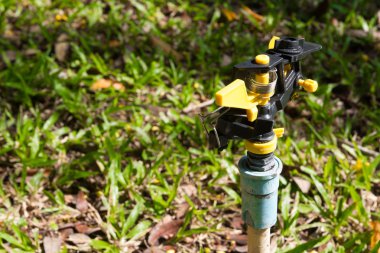 gerçek çim üzerinde serpin