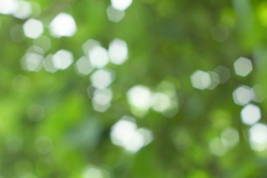 yeşil ve sarı arkaplan