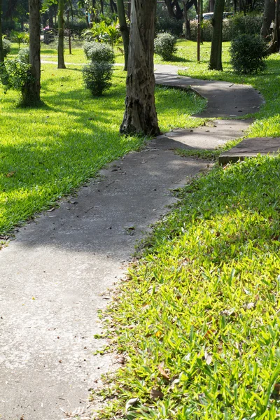 Caminho de pedra na natureza — Fotografia de Stock