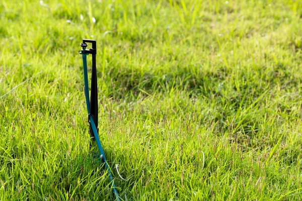 Sprinkle on real grass — Stock Photo, Image