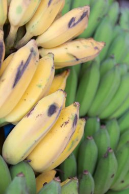 Sarı muz ve yeşil muz