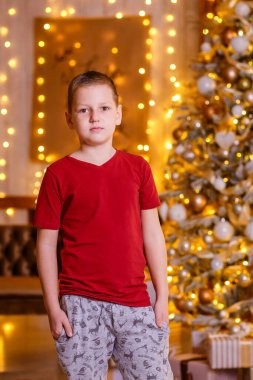 Bordo tişörtlü sekiz yaşındaki Avrupalı bir çocuk Noel ağacının arka planında kameraya bakar. Bir çocuğun Noel portresi