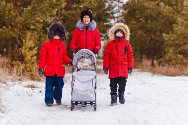 Güzel büyükanne ve üç torun kışın yürürler. Kırmızı ceketli bir aile. bebek kışın kızakla kayıyor