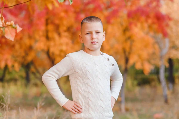 Девятилетний Коротышка Вязаном Белом Свитере Стоит Фоне Пепла Осенью — стоковое фото