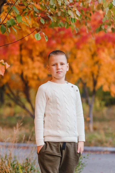 Мальчик Трикотажной Куртке Естественном Осеннем Фоне — стоковое фото