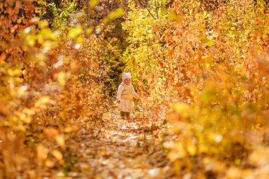 Etek ve yelek giymiş küçük bir kız güzel sonbahar ormanlarında yürüyor. Düş! altın sonbahar