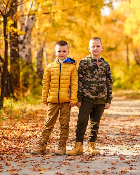 Два Коротковолосых Мальчика Стоят Лесу Осенью — стоковое фото