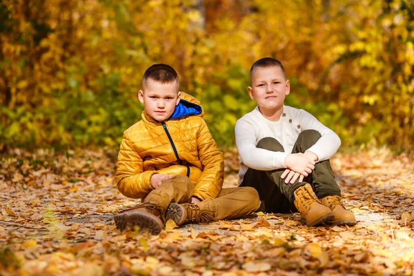 Два Коротковолосых Мальчика Сидят Желтых Листьях Осенью — стоковое фото