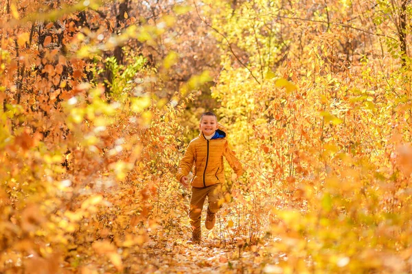 Boy Runs Autumn Forest — Stock Photo, Image