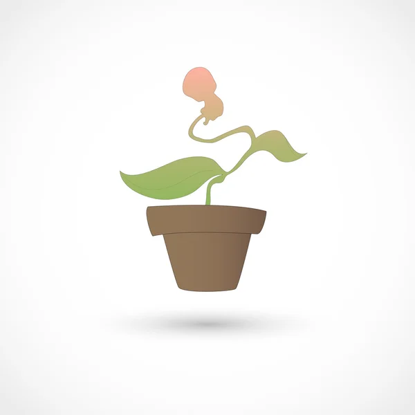 Vector planta del bebé — Vector de stock