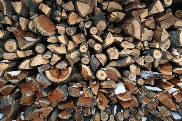 The pile of firewood — Stock Photo, Image