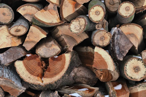The pile of firewood — Stock Photo, Image