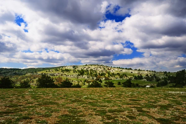 Beautiful spring crimean landscape