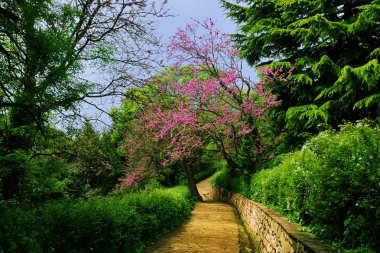 Baharda park et.