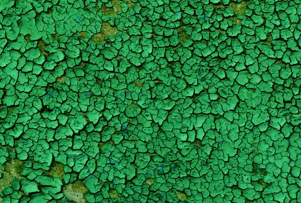 Old green paint — Stock Photo, Image