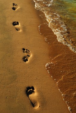 Kumda ayak izi