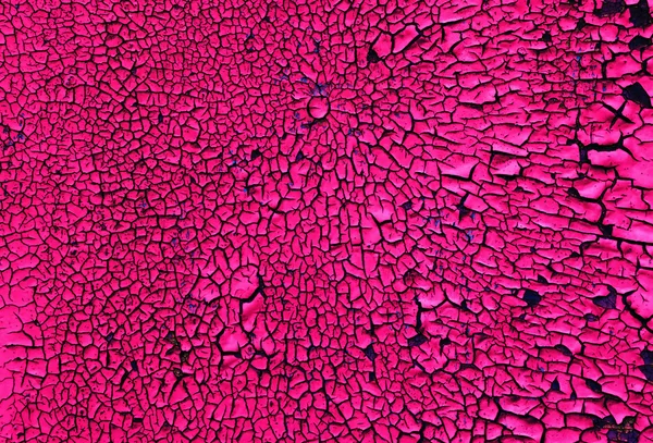 Textura abstrata rosa — Fotografia de Stock