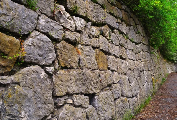 Stenen muur in Park — Stockfoto