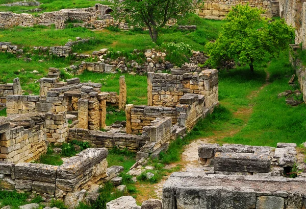 Archaeological reserve Chersonese Stock Image