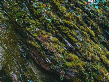 Almanya 'da tarihi bir binanın tuğla duvarı. Taş doğal doku..
