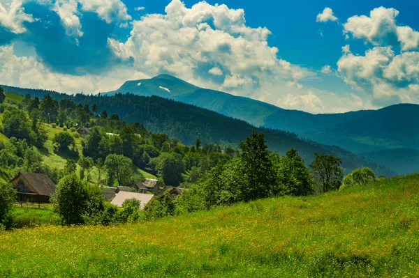 Montagne nei Carpazi — Foto Stock