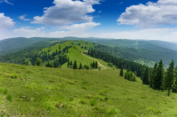 Berge in den Karpaten — Stockfoto