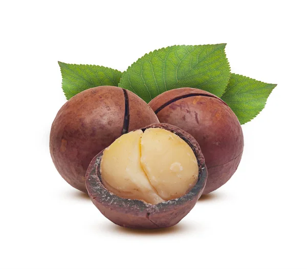 Grano Macadamia Nueces Con Hojas Sobre Fondo Blanco —  Fotos de Stock