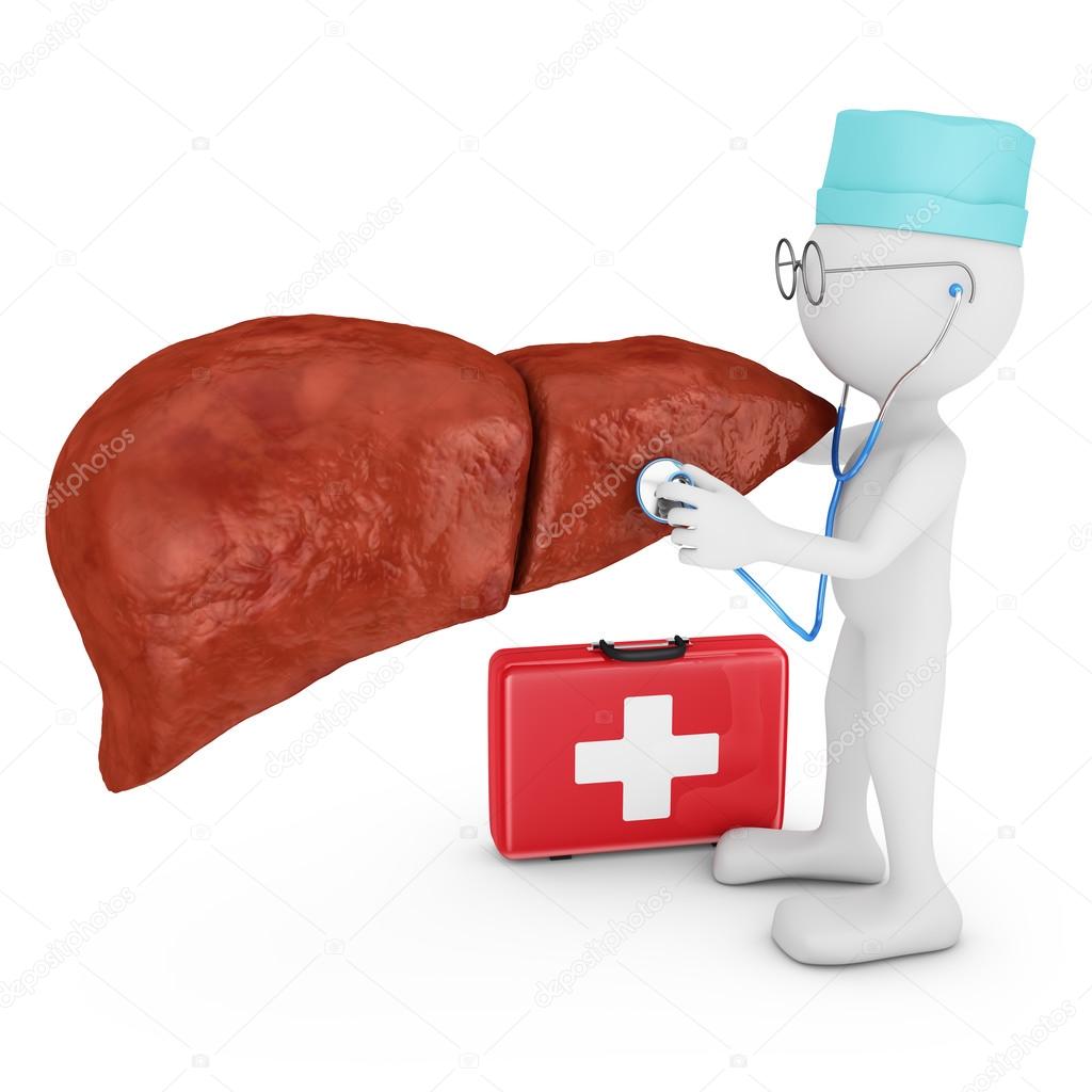 doctor explores liver