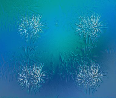 Soyut parlak mavi süsleme arkaplanı, donmuş yüzeyi olan çam dallarının stilize edilmesi