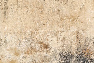 Eski bir beton duvarın ayrıntıları. Yüzey yıpranmış ve kısmen küflenmiş.