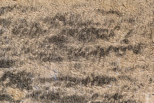 Rough Textured Surface Beige Color Black Smudges Texture Rough Surface — Foto de Stock