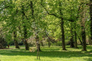 Straznice, Çek Cumhuriyeti - 1 Mayıs 2021, kale parkının Picturesque köşesi, İngiliz tarzında bir park, Hodonin 'in güney Moravya bölgesinde Straznice' de dinlenmek için güzel bir yer..