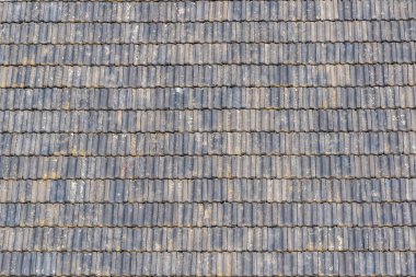 Siyah ve gri kiremit kaplama arka planda liche ile büyümüş