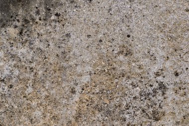 Yıpranmış eski beton yüzey dokusu solmuş bir duvarın yosun yüzey yapısı ile kaplıdır