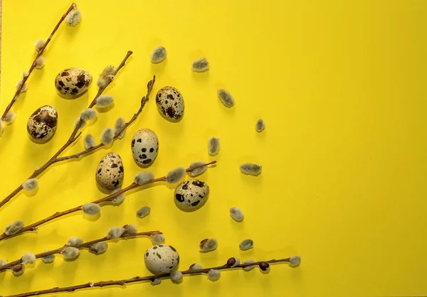 Easter Composition Eggs Twigs Tree Flowering Yellow Background Bunch Pussy — Stock Photo, Image