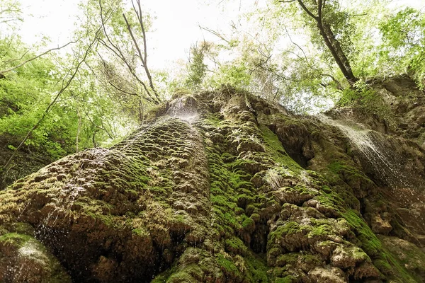 Dağ sırasının yamaçları yosun ve otlarla kaplıdır. Şelale.