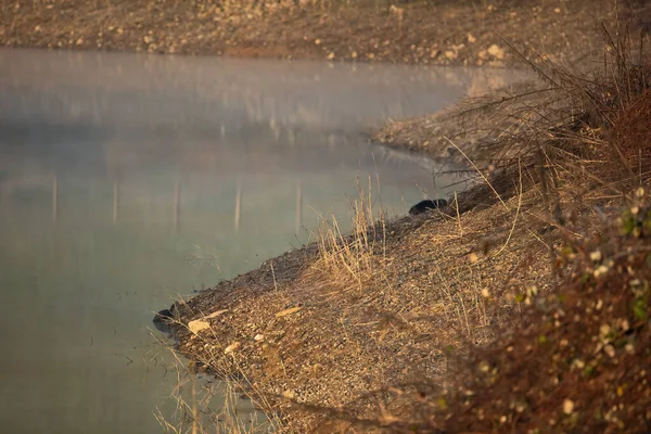 Parque Natural Con Lago Por Mañana Temprano Con Ambiente Brumoso — Foto de Stock