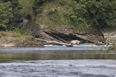 Medolago 'daki kuzey adda parkında doğal ortam...