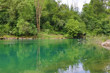Medolago 'daki kuzey adda parkında doğal ortam..