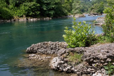 Medolago 'daki kuzey adda parkında doğal ortam..