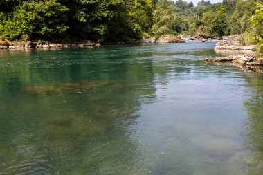 Medolago 'daki kuzey adda parkında doğal ortam..