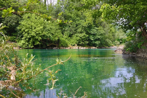 Ambiente Naturale Sulle Rive Del Parco Nord Adda Medolago — Foto Stock