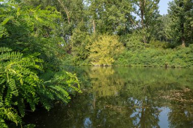 Po nehrinin kıyısındaki körfezlerde bitki örtüsü var..