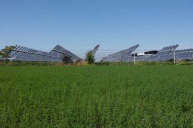 Agrivoltaik ya da agrofotovoltaik, hem güneş fotovoltaik gücü hem de tarım için aynı arazi alanını birlikte geliştirmektedir..