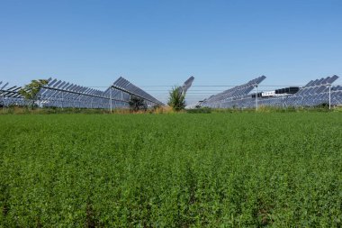 Agrivoltaik ya da agrofotovoltaik, hem güneş fotovoltaik gücü hem de tarım için aynı arazi alanını birlikte geliştirmektedir..