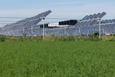 Agrivoltaik ya da agrofotovoltaik, hem güneş fotovoltaik gücü hem de tarım için aynı arazi alanını birlikte geliştirmektedir..