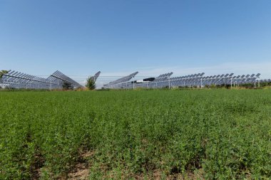 Agrivoltaik ya da agrofotovoltaik, hem güneş fotovoltaik gücü hem de tarım için aynı arazi alanını birlikte geliştirmektedir..