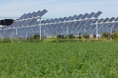 Agrivoltaik ya da agrofotovoltaik, hem güneş fotovoltaik gücü hem de tarım için aynı arazi alanını birlikte geliştirmektedir..